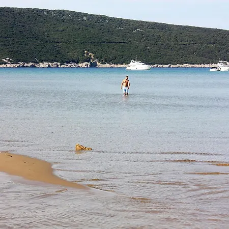 With Parking Space Lopar, Rab - 5019